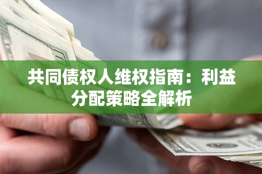 济南共同债权人维权指南：利益分配策略全解析